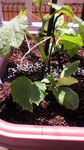 2009050910350001.jpg