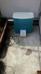2009051212340000.jpg