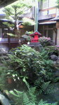 2009051408550000.jpg