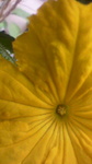 2009051911550001.jpg