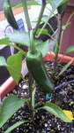 2009060310470000.jpg