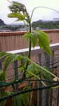 2009060310480000.jpg
