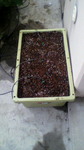 2009060816130000.jpg