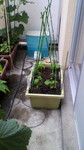 2009060816130001.jpg
