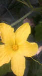 2009061608590000.jpg