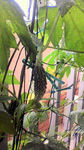 2009062412060002.jpg
