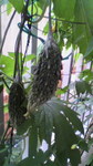 2009062918050003.jpg