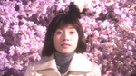 「嫌われ松子の一生」