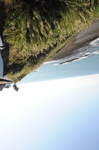 DSC_0003.jpg