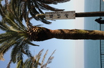 DSC_0007.jpg