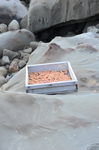 DSC_0023.jpg