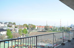 DSC_3675_edited-1.jpg