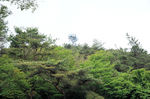 最高峰.jpg