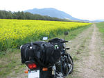 IMG_1566.jpg
